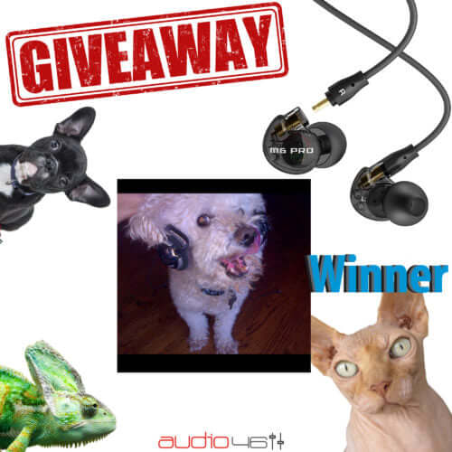 Sorteo de fotos de mascotas con auriculares