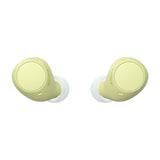 Sony WF-C510 True Wireless Earbuds