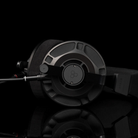 Final Audio D7000 Semi-Open Planar Magnetic Headphones