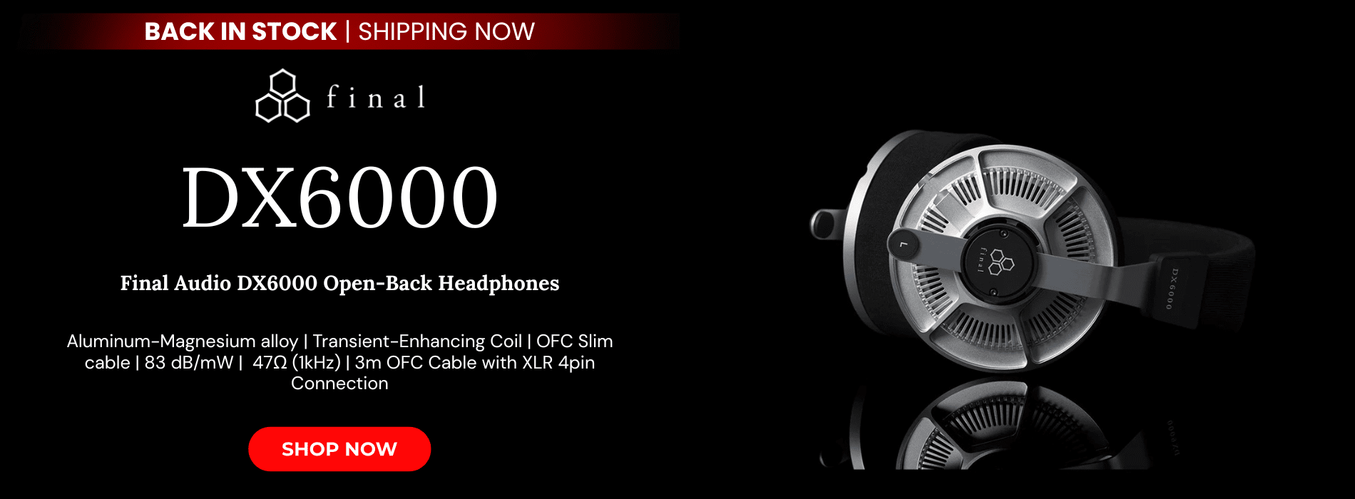 Final audio dx6000