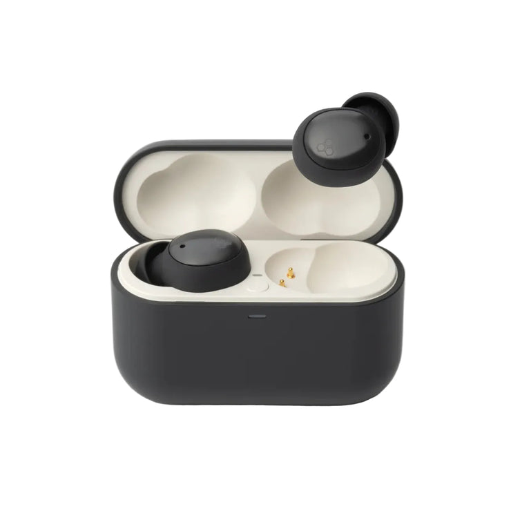 Final Audio ZE500 for ASMR True Wireless Earphones | Audio46