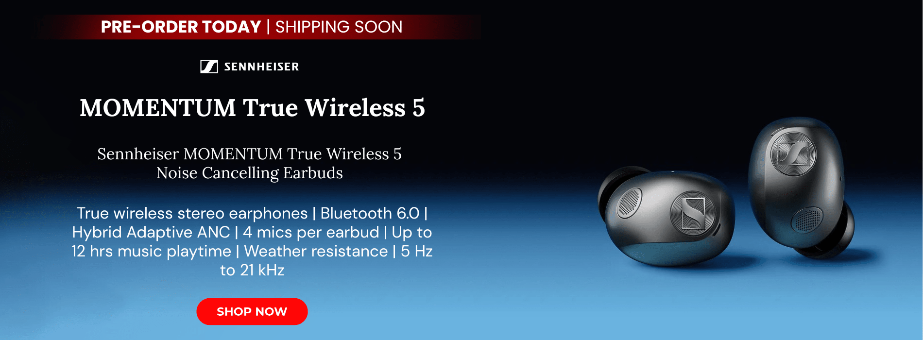 Sennheiser momentum true wireless 5 noise cancelling earbuds