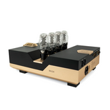 Woo Audio WA24 20th Anniversary Edition Headphone Amplifier (Pre-Order)