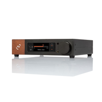 Ferrum WANDLA HP Fully Balanced DAC/Preamp With Headphone Amplifier Angled