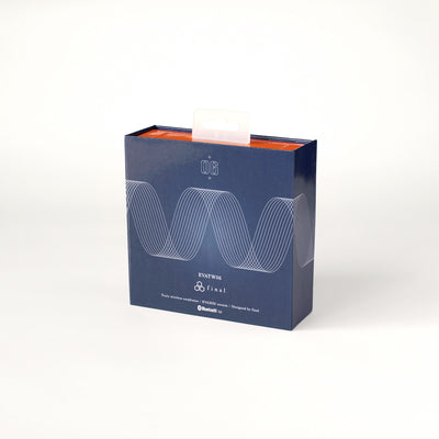 Audio final - Auriculares inalámbricos verdaderos EVA 2020