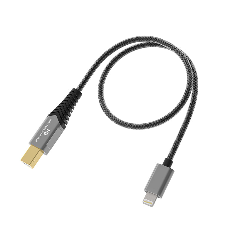 Sygdom hjælpe Eve FiiO LD-LT1 Type-B to Lightning OTG Cable