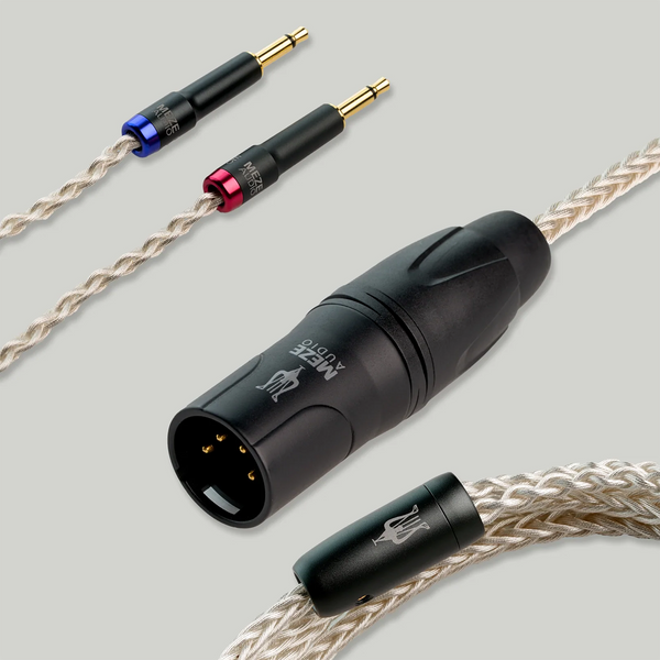 Silver_XLR_39e32d00-5436-496a-