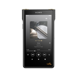 Lecteur audio Walkman HiRes Sony NWWM1A excellent état boîte USB Lecteur audio Walkman HiRes Sony NWWM1A excellent état boîte USB