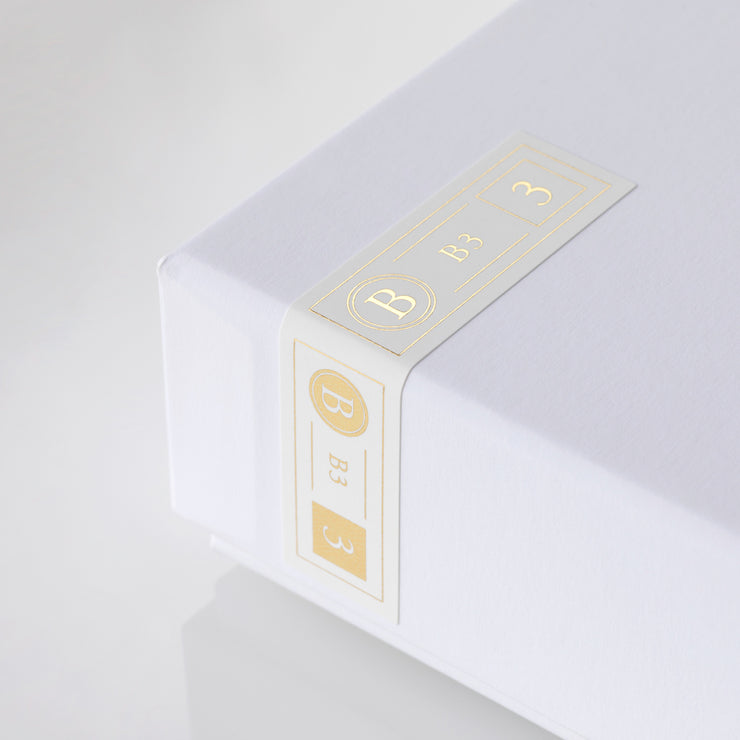 Final Audio B3 Dual BA Driver Earphones (+free Glow-in-the-Dark tips ...