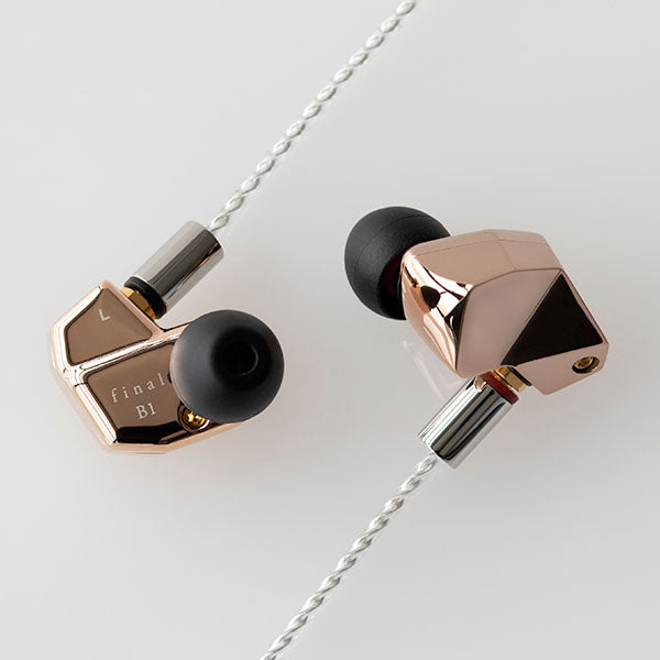 Final Audio B1 Hybrid Driver Earphones (+free Glow-in-the-Dark tips ...